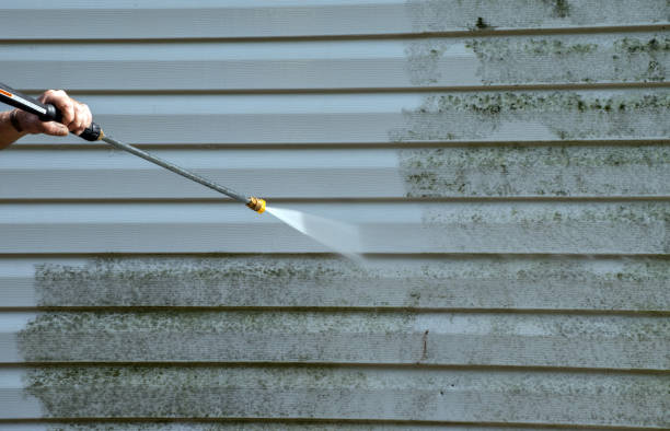 Best Deck Cleaning Services  in St Augustine Shores, FL